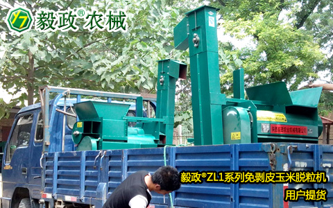 外地客戶來(lái)我司提取2臺(tái)毅政牌ZL1D型電機(jī)式免剝皮玉米脫粒機(jī)